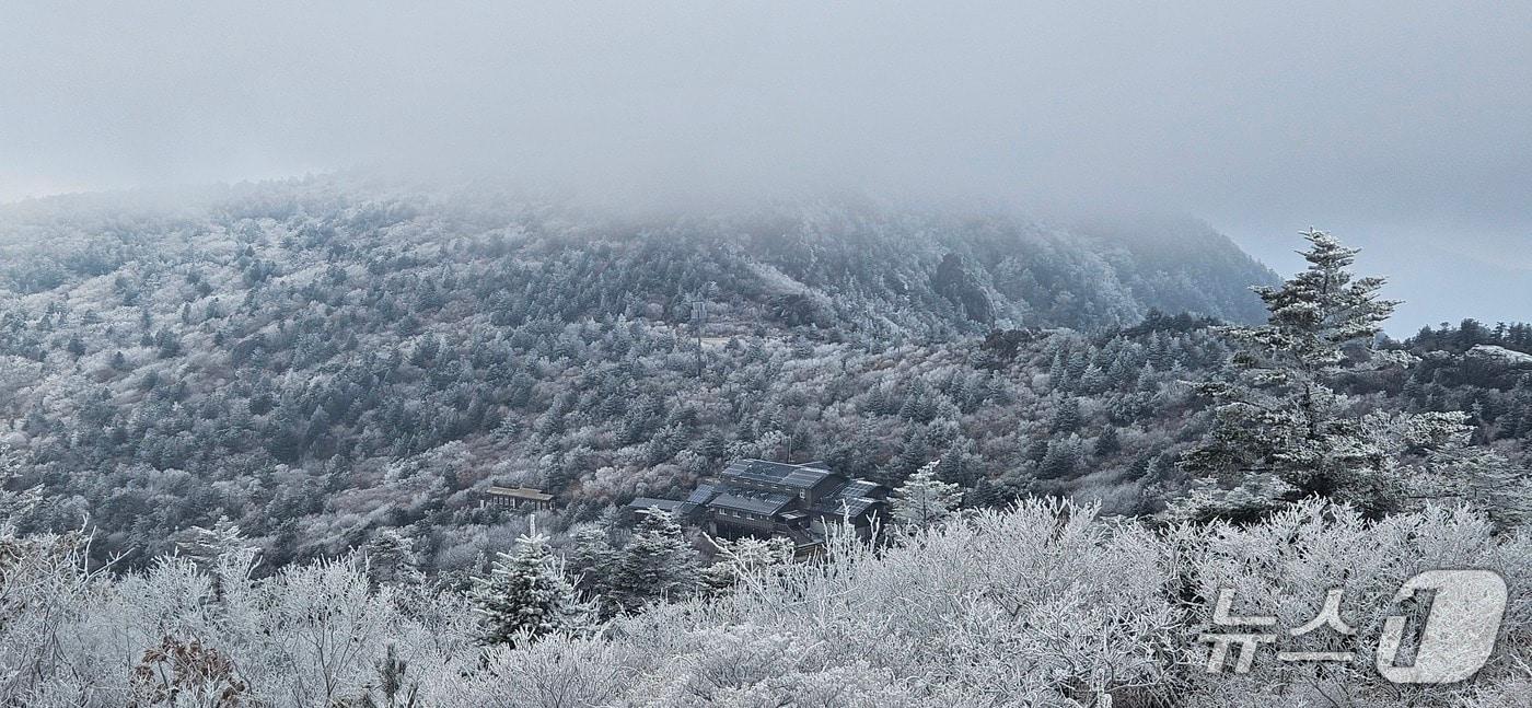 지리산에 쌓인 눈(국립공원공단 지리산국립공원경남사무소 제공).