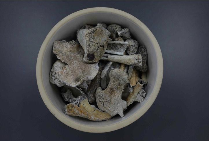 본문 이미지 - 2005년 3월 국방부 유해발굴감식단이 발굴한 고&#40;故&#41; 정용환 일병의 유해.&#40;국방부 제공&#41;