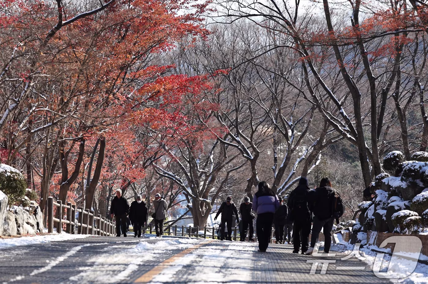 산책하는 시민들.&#40;뉴스1 DB&#41;