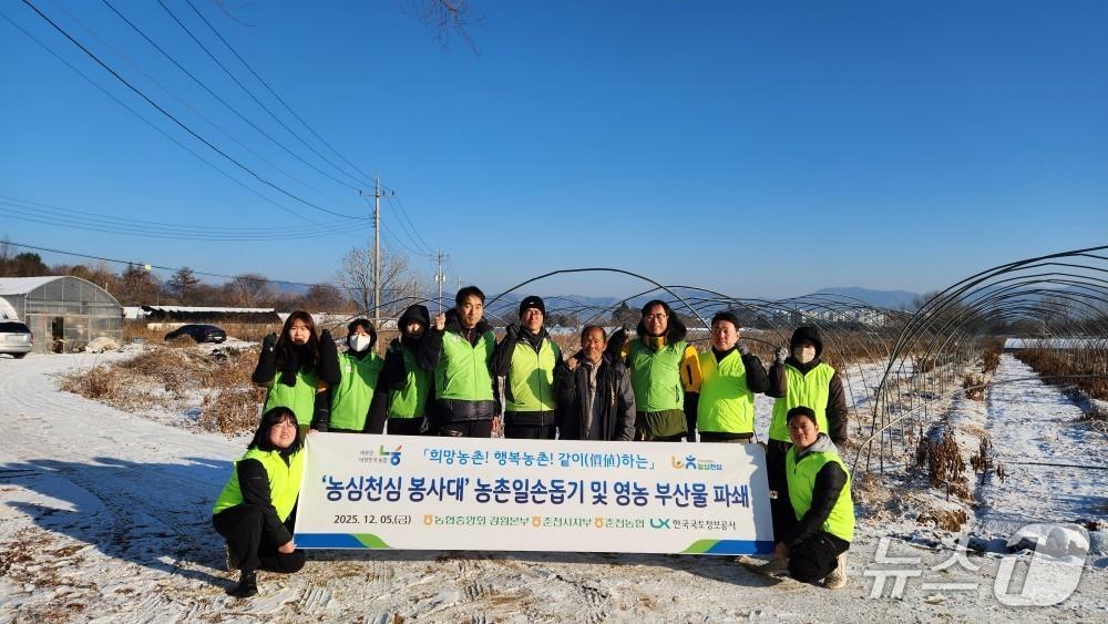 본문 이미지 - 농협중앙회 강원본부와 한국국토정보공사 강원본부, 농촌일손돕기 실시.&#40;강원농협 제공, 재판매 및 DB금지&#41;