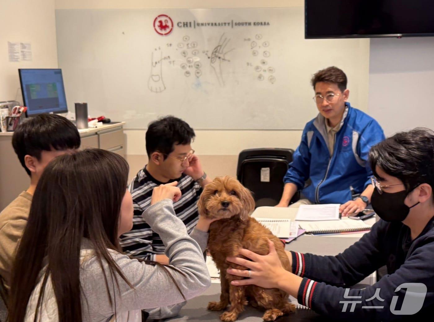 본문 이미지 - 치 코리아가 반려동물 침치료 교육을 하고 있다&#40;치 코리아 제공&#41;. ⓒ 뉴스1