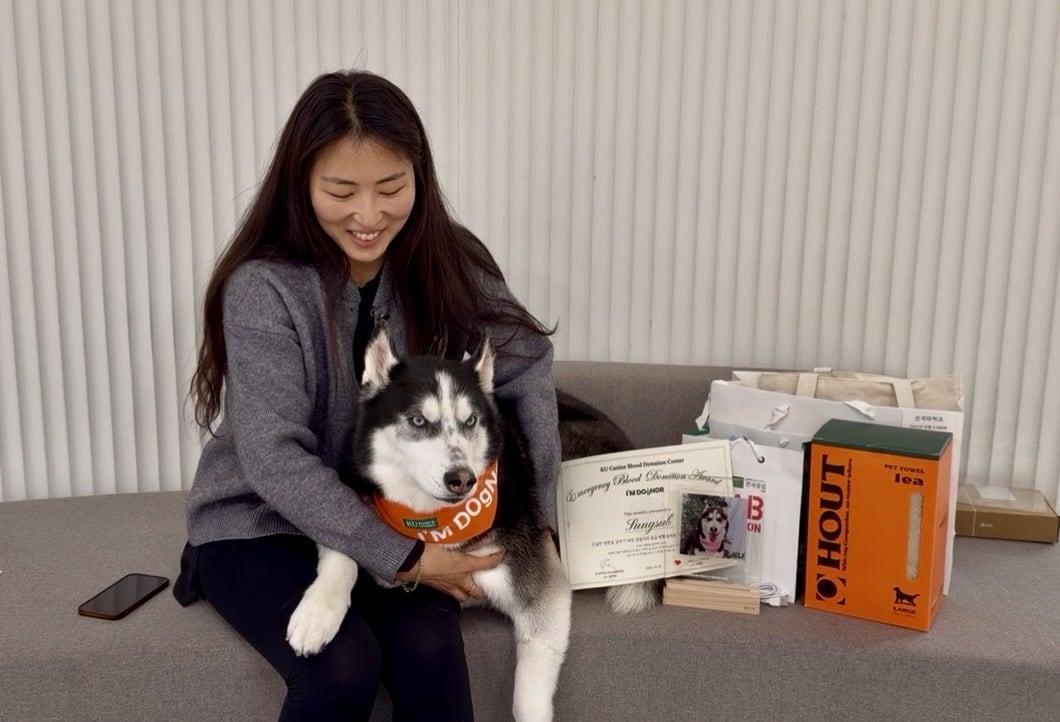 본문 이미지 - 응급헌혈에 참여한 반려견 김성섭과 보호자가 건국대학교 아임도그너 헌혈센터에서 감사 선물을 받고 사진을 찍고 있다&#40;건국대 제공&#41;. ⓒ 뉴스1