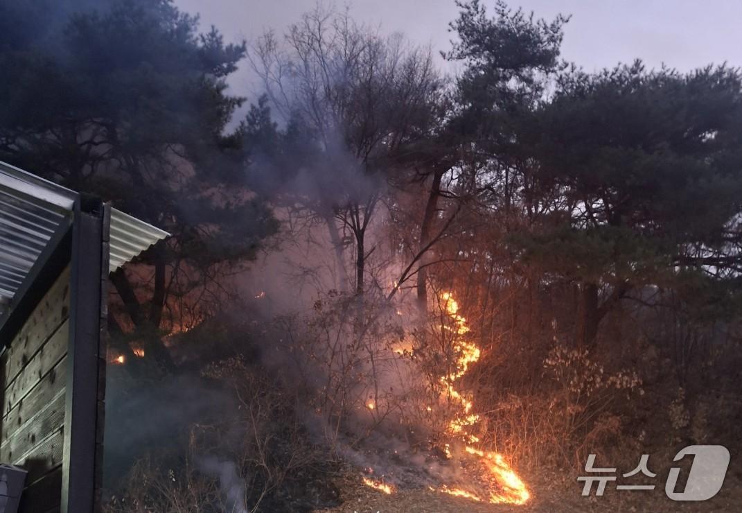 본문 이미지 - 7일 오전 6시 42분쯤 충북 제천시 백운면 방학리 한 야산에서 불이 나 40여분 만에 꺼졌다.&#40;독자제공. 재판매 및 DB금지&#41;/뉴스1