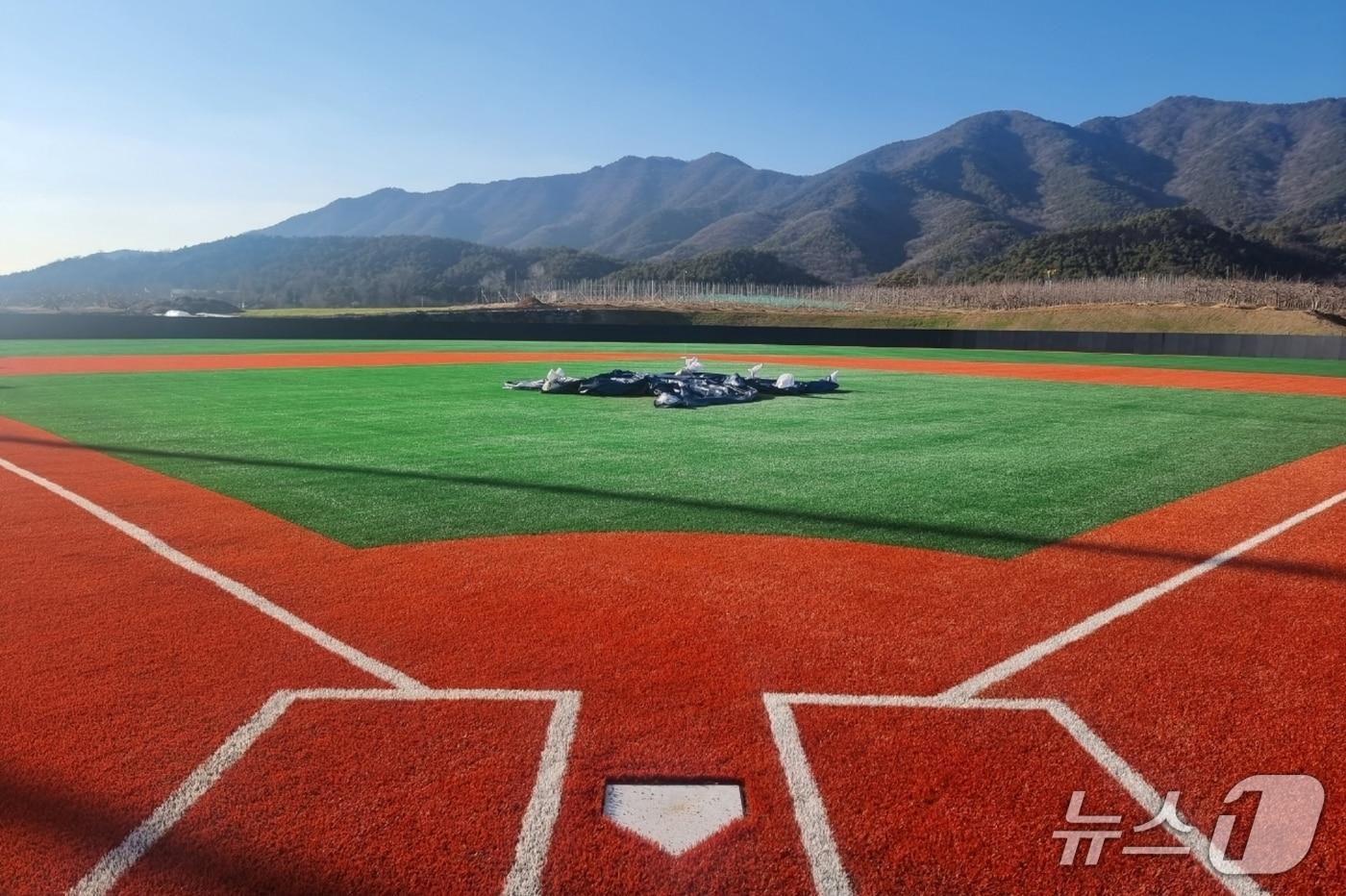 증평 생활야구장 전경/뉴스1
