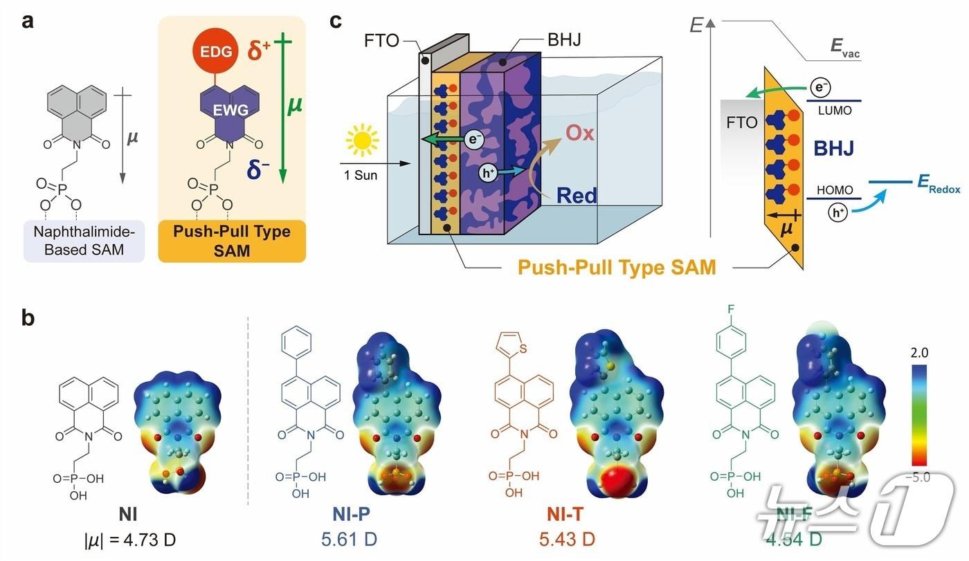 박막을 구성하는 단분자와 광전극의 구조&#40;UNIST 제공. 재판매 및 DB금지&#41;/뉴스1