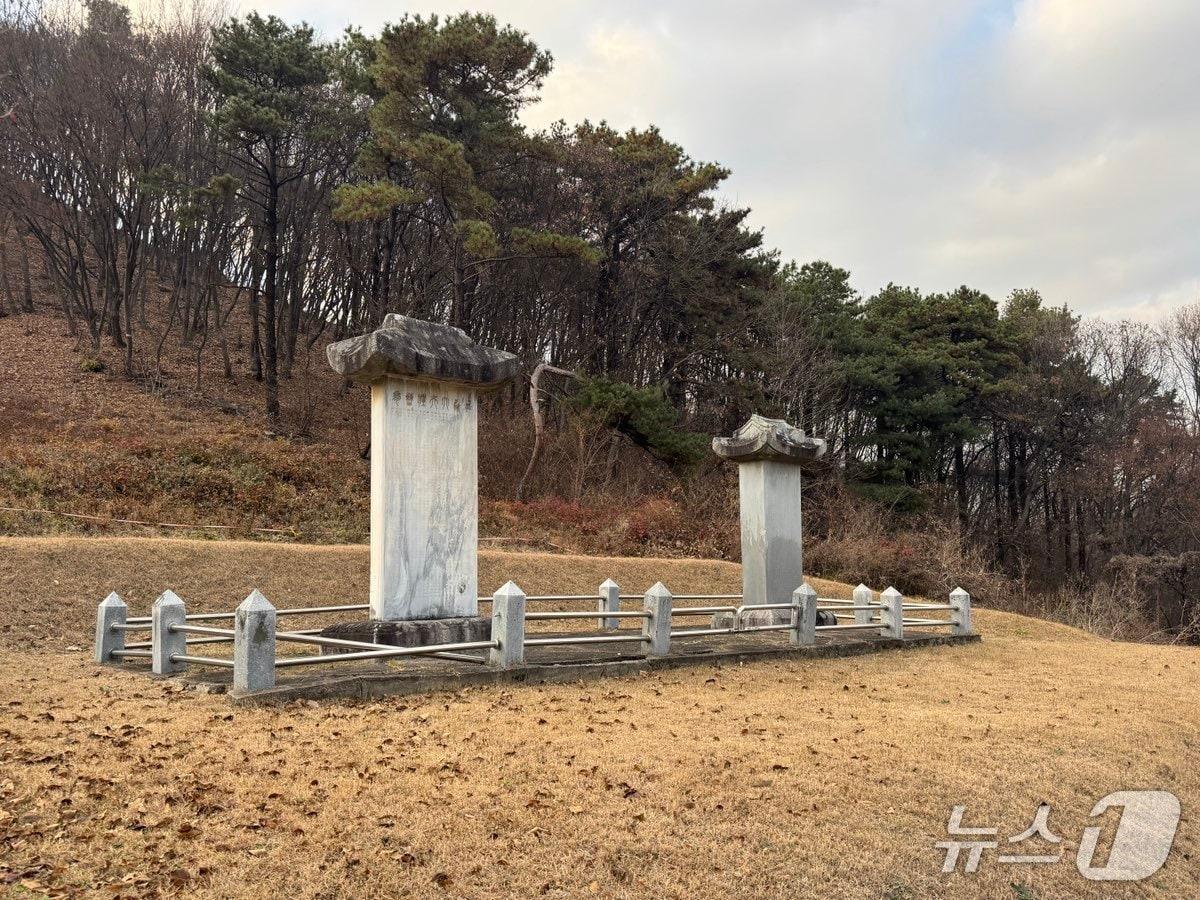 본문 이미지 - 파주시가 향토유산으로 지정을 준비중인 광탄면 임천조씨 묘역 신도비 2기. &#40;파주시 제공, 재판매 및 DB금지&#41;