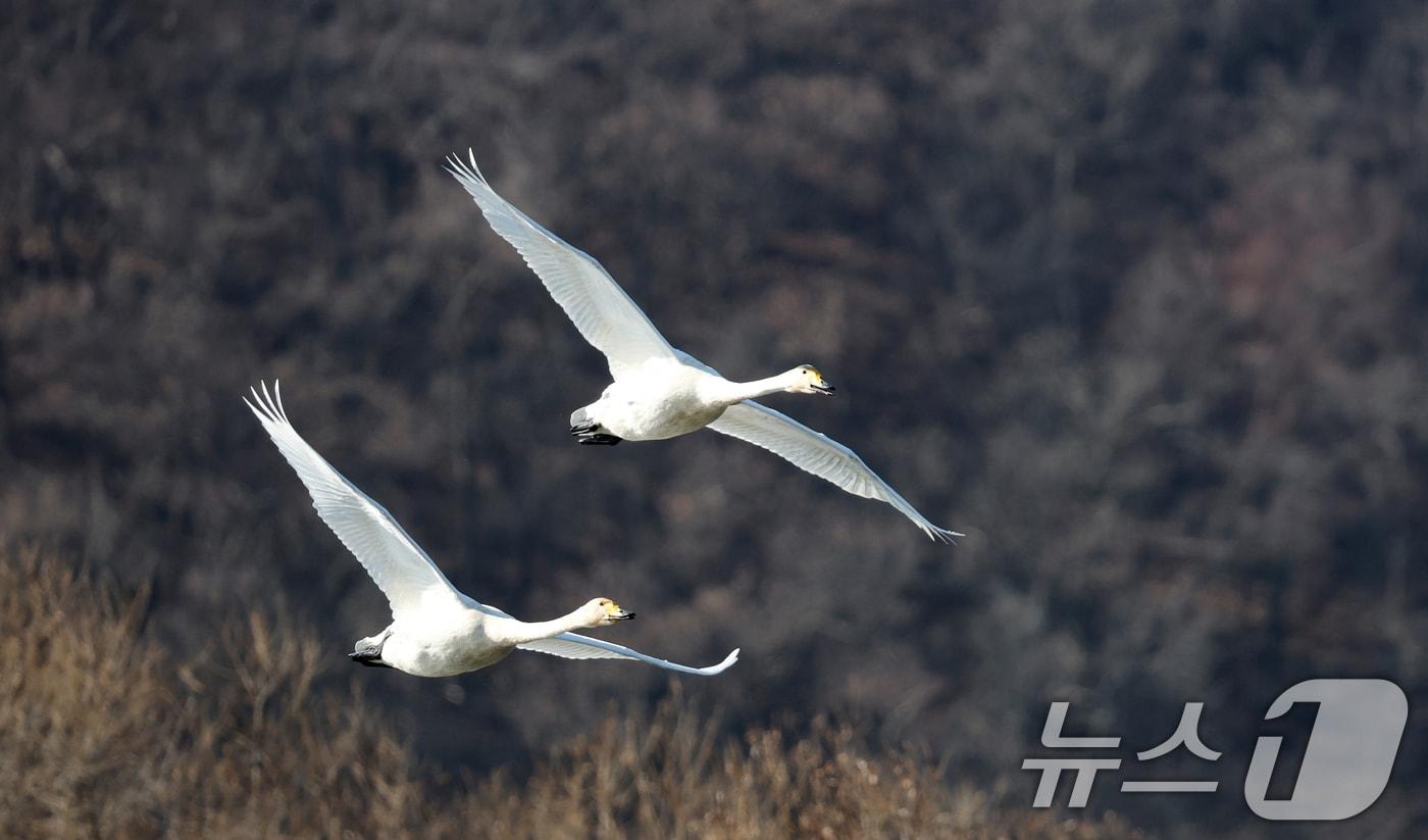 (뉴스1 자료사진). 2025.12.8/뉴스1 ⓒ News1 김영운 기자