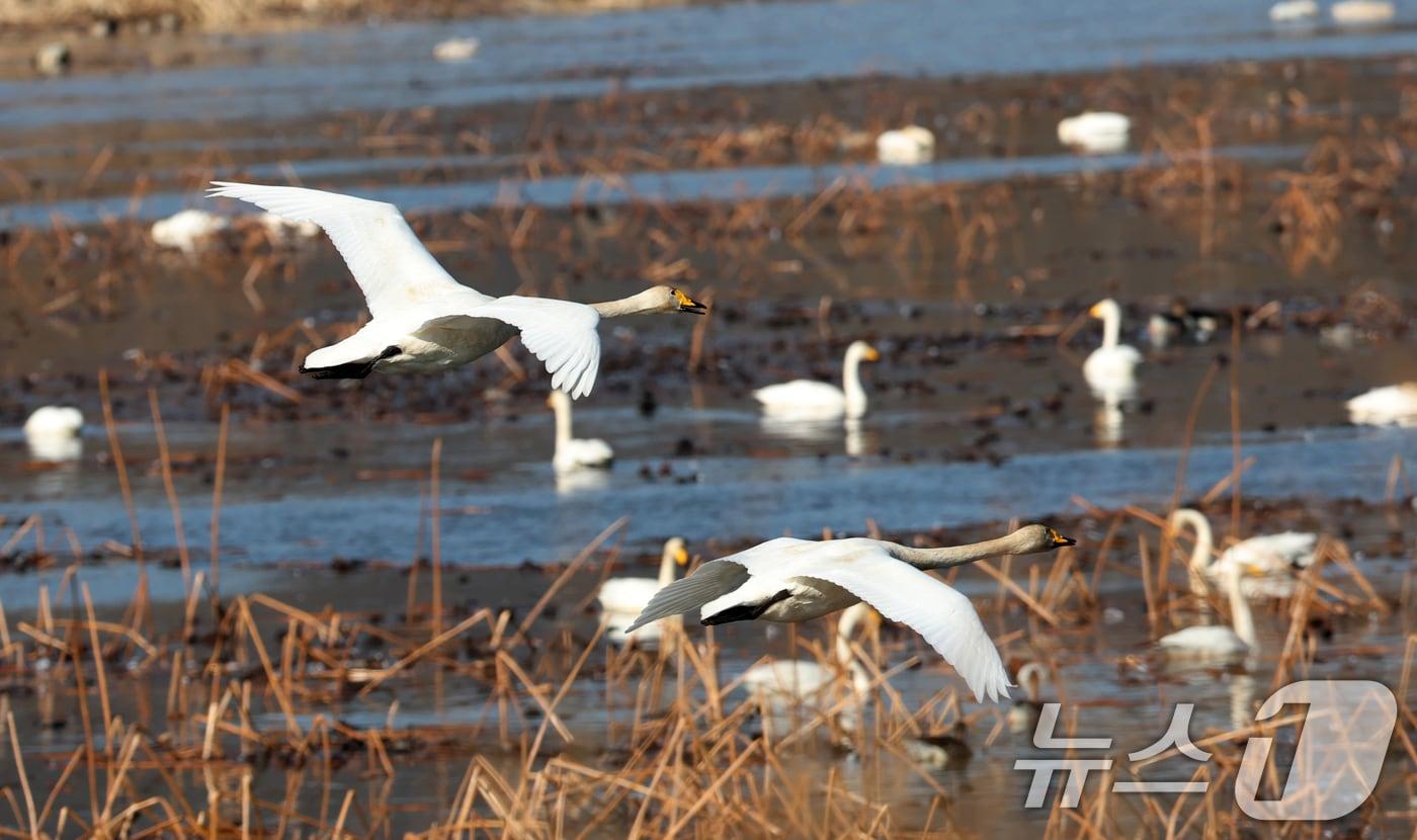 경기 광주시 퇴촌면 경안천습지생태공원./뉴스1