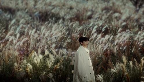 본문 이미지 - 물고기뮤직