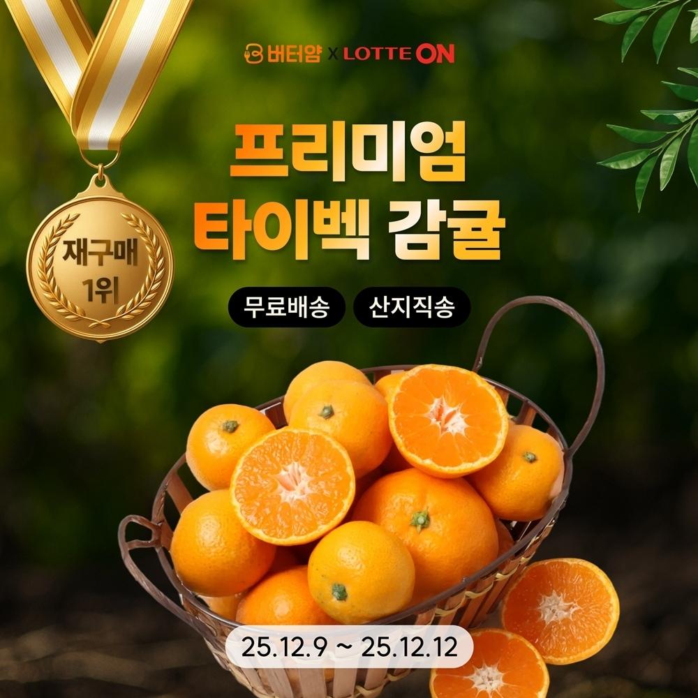 본문 이미지 - 롯데온&#40;LOTTE ON&#41;은 버터얌&#40;ButterYum&#41;과의 협업을 통해 프리미엄 타이벡 감귤 산지직송 공구를 12일까지 진행한다.&#40;롯데온제공&#41;
