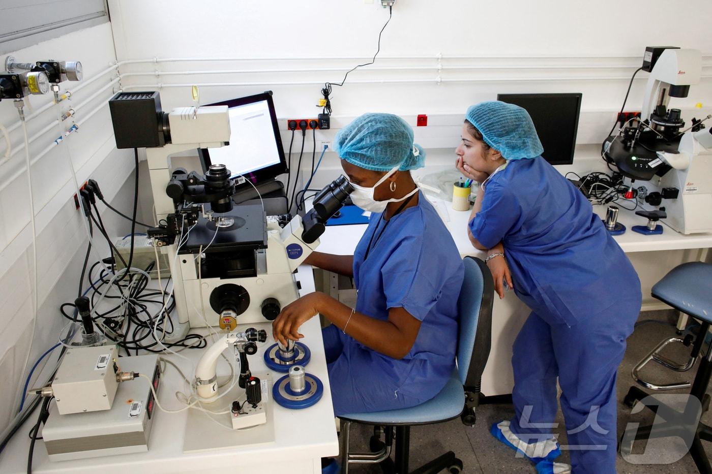 시험관 시술 . 기사 내용과 무관한 자료사진. 2019.09.19. ⓒ 로이터=뉴스1 ⓒ News1 이지예 객원기자