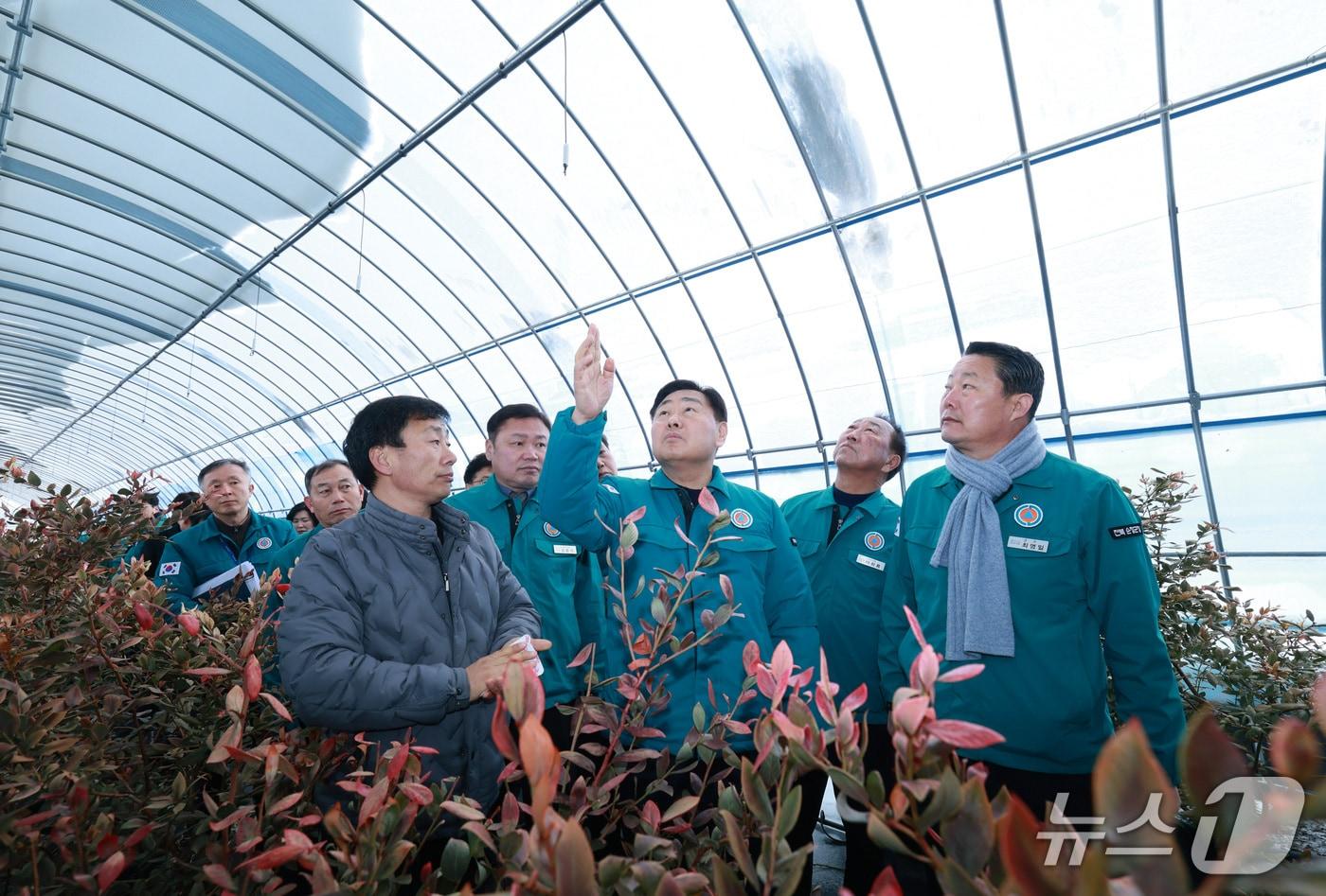 지난 겨울 김관영 전북지사와 최영일 순창군수가 순창의 한 비닐하우스를 찾아 적설 취약시설 점검을 하고 있다.&#40;전북도 제공. 재판매 및 DB금지&#41;/뉴스1