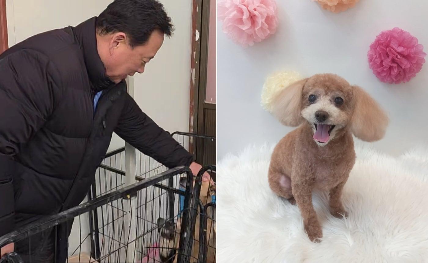 어기구 농림축산식품해양수산위원회 위원장이 당진에서 진행된 국경없는수의사회 봉사 현장에 방문해 보호견을 쓰다듬고 있다. 오른쪽은 어기구 의원의 반려견 &#39;어수선&#39; &#40;국경없는수의사회 제공&#41; ⓒ 뉴스1