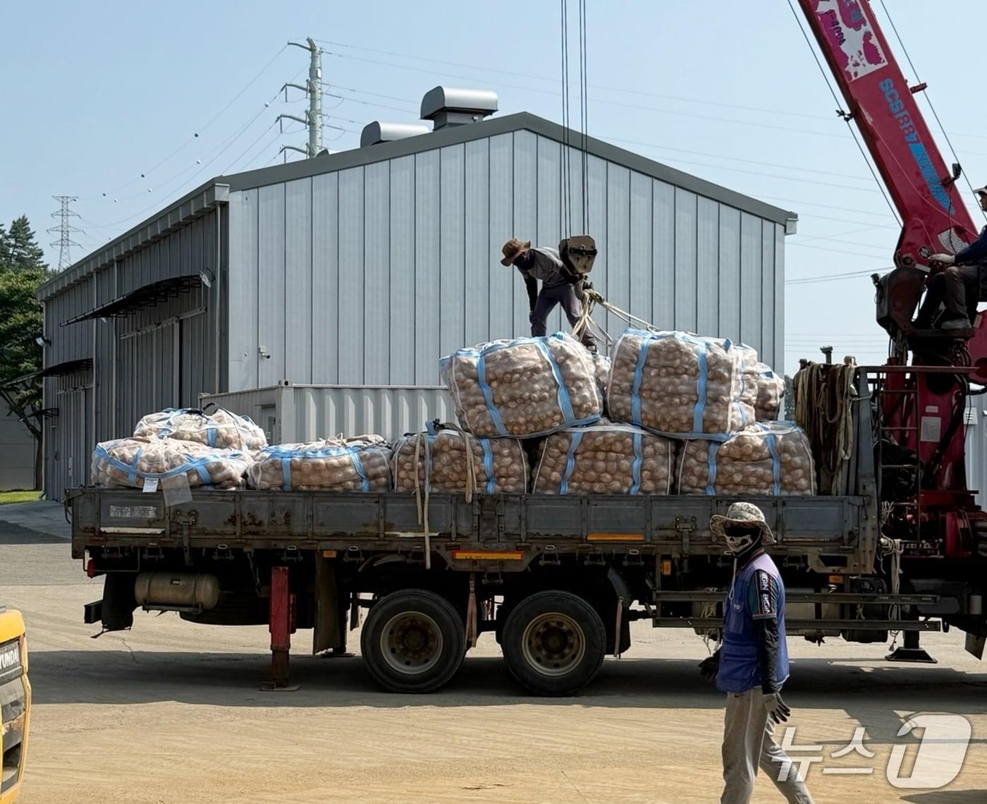 본문 이미지 - 지역 농산물의 운송을 돕는 ‘수확 운송작업단 운영 지원 사업’ 추진 모습(태안군 제공. 재판매 및 DB금지)2025.12.9/뉴스1