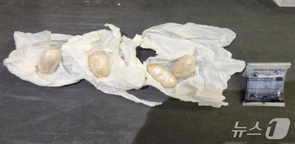 본문 이미지 - 적발된 마약 &#40;인천공항세관 제공.재판매 및 DB금지&#41;