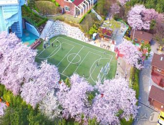 본문 이미지 - 금련산청소년수련원 전경(금련산청소년수련원 제공)