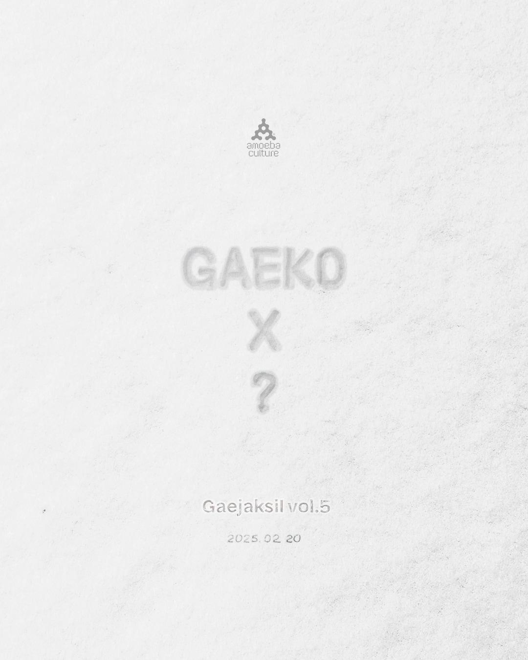 본문 이미지 - 개코