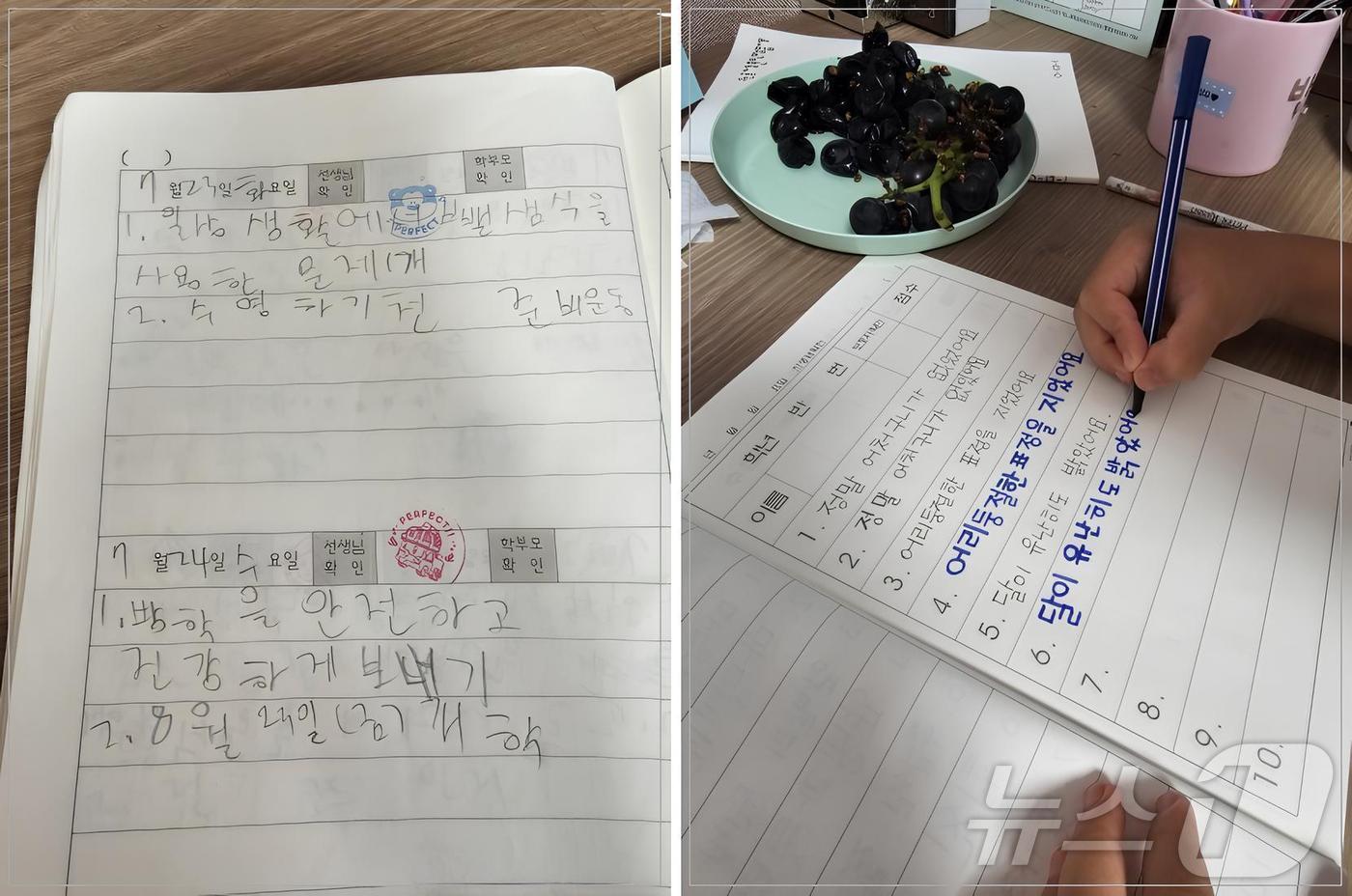 본문 이미지 - 영덕군은 초등학생을 대상으로 '글씨의 정석' 프로그램 참여자를 모집한다. 사진은 손글씨 전문 지도를 받은 초등학생의 글씨 모습.(영덕군 제공) 2025.2.10/뉴스1 