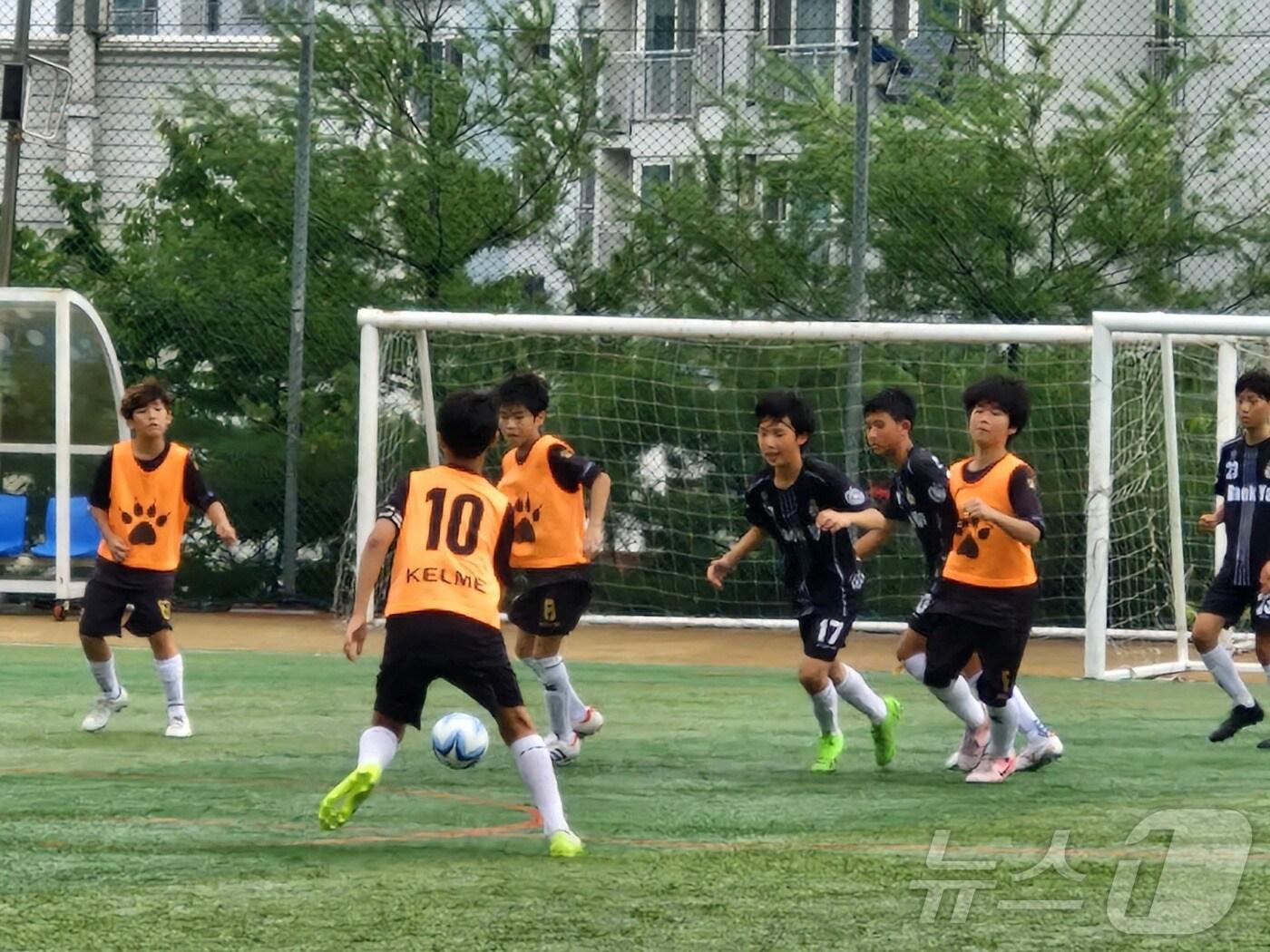 본문 이미지 -  (서울시 제공) 