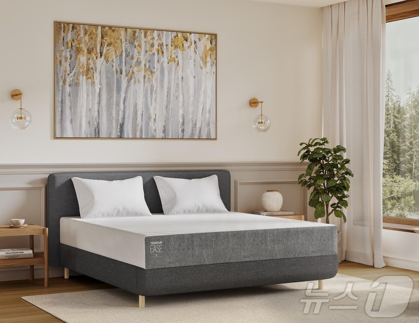 본문 이미지 - 템퍼 이즈 매트리스 이미지 (템퍼 제공)