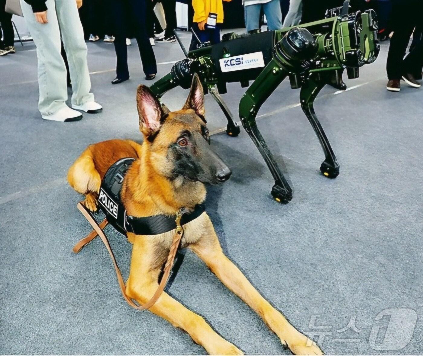 본문 이미지 - 테오.&#40;경기남부경찰청 제공&#41;