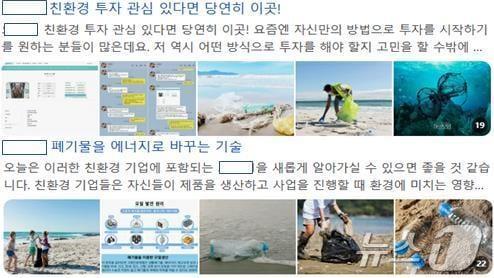 본문 이미지 - (금감원 제공)