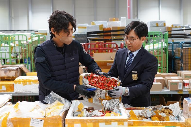 본문 이미지 - 검역대상물품 세관 엑스레이(X-ray) 검색 모습. (관세청 제공)/뉴스1