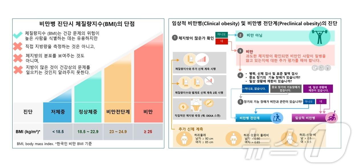 본문 이미지 - 비만명 진단시 BMI 단점 및 임상적 비만병, 비만병 전단계의 진단(임수 분당서울대병원 제공)