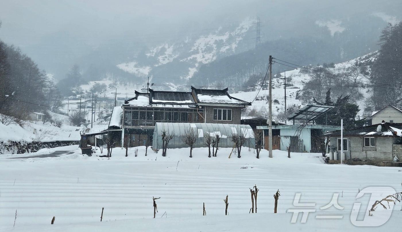 단양군 적성면 기동리에 쌓인 눈.2025.2.12/뉴스1 