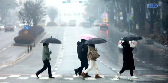 본문 이미지 - 전북자치도 전주시 백제대로에서 우산을 쓴 시민들이 발걸음을 재촉하고 있다. 2025.2.12/뉴스1 ⓒ News1 유경석 기자