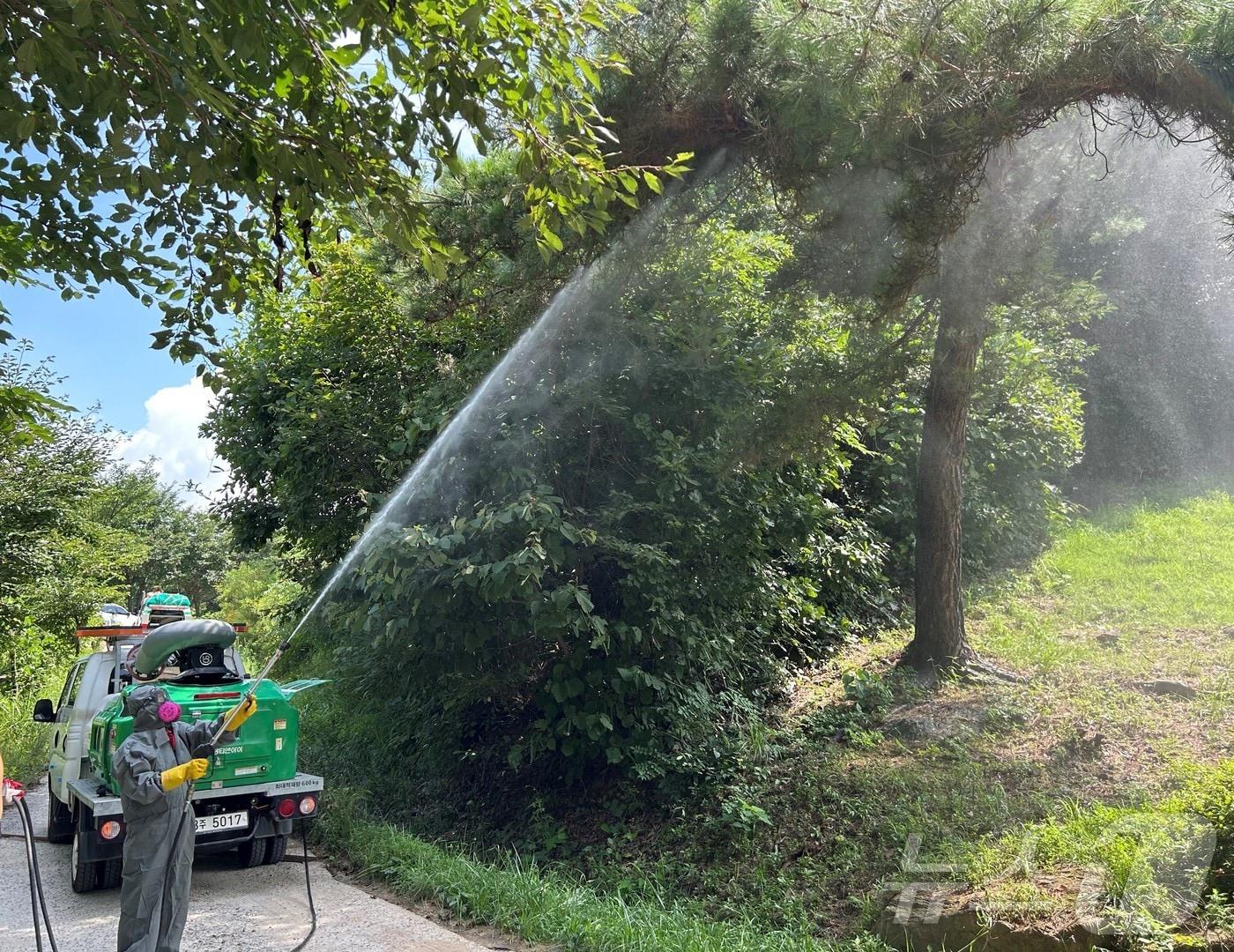 본문 이미지 - 북부지방산림청의 산림병해충예찰방제단 활동 자료 사진. (북부지방산림청 제공) 2025.2.12/뉴스1
