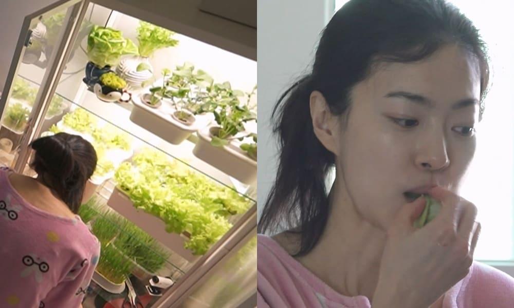 본문 이미지 - MBC