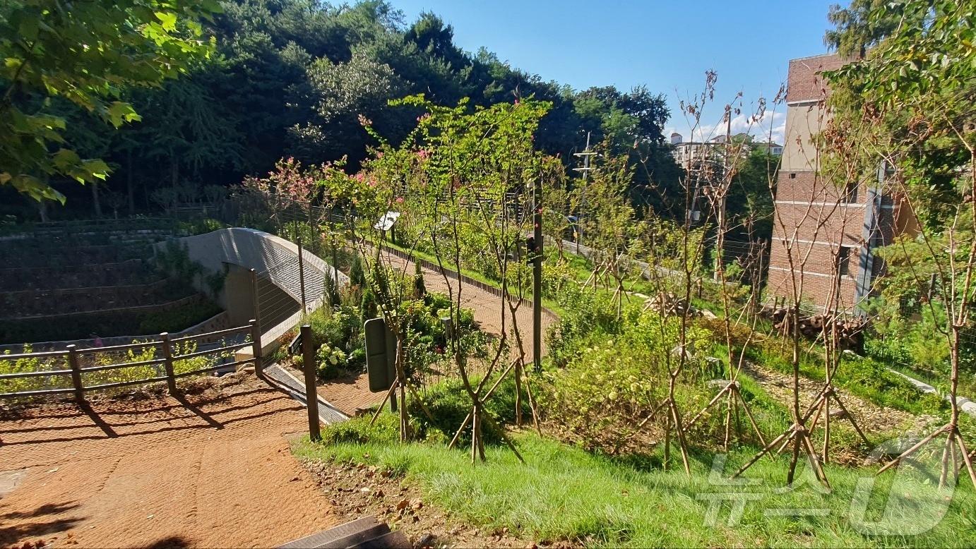 본문 이미지 - (서울시 제공)  