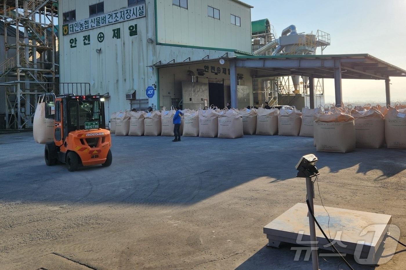  정읍시가 2026년 공공비축미 매입 품종으로 ‘신동진’과 ‘새청무’를 최종 선정했다. 정읍시 공공비축미 매입현장(정읍시 제공. 재판매 및 DB금지)/뉴스1