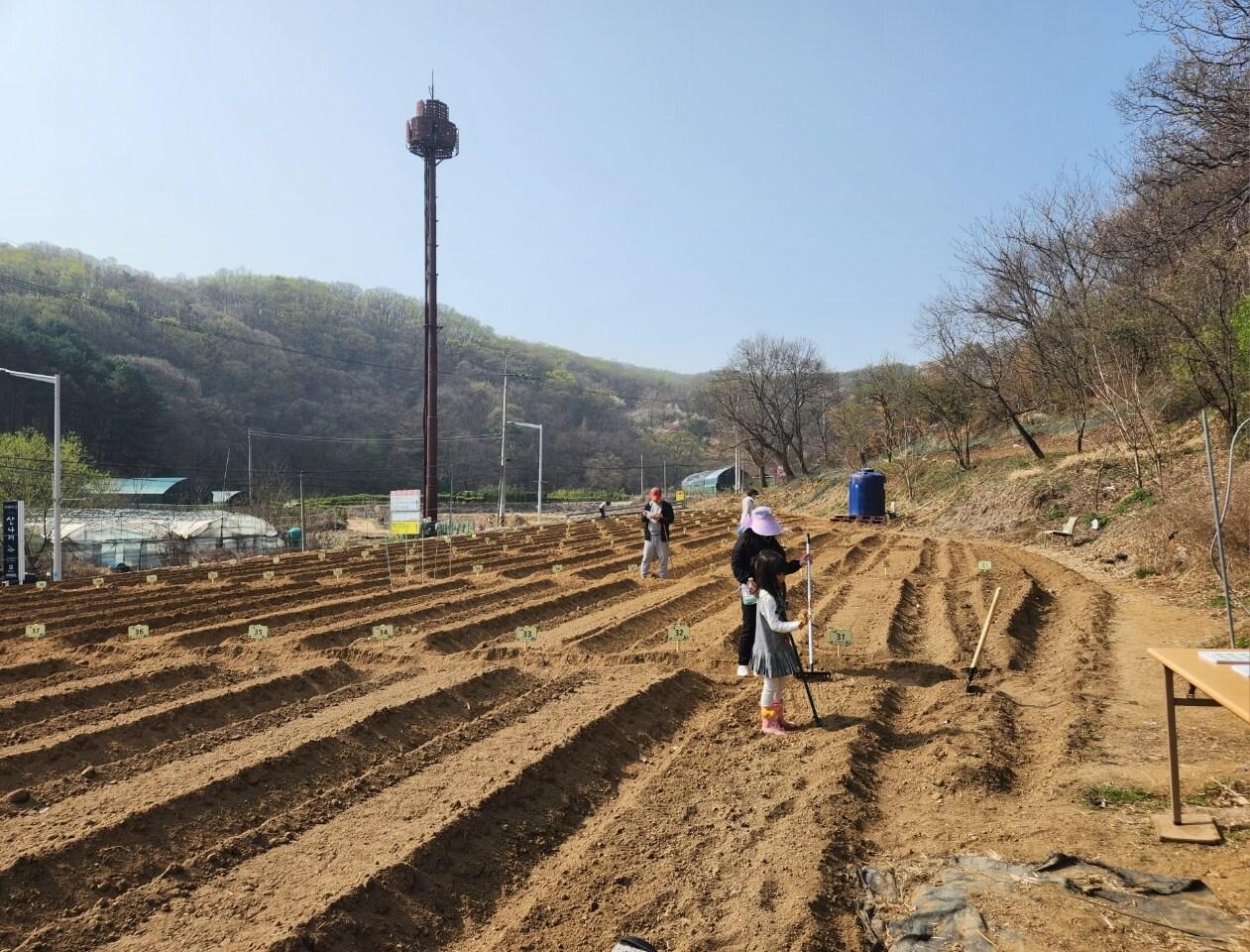 본문 이미지 - 의왕시 행복가꿈 주말농장 전경. (의왕시 제공. 재판매 및 DB 금지) 2025.2.14/뉴스1