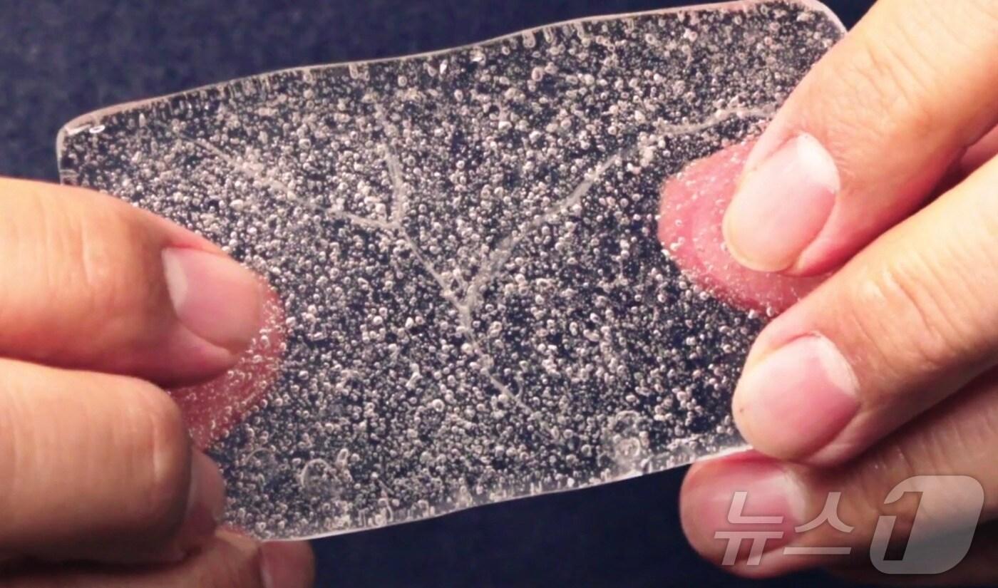 극지방에서 가져온 빙하 코어의 일부분(서울대 자연과학대학) ⓒ 뉴스1