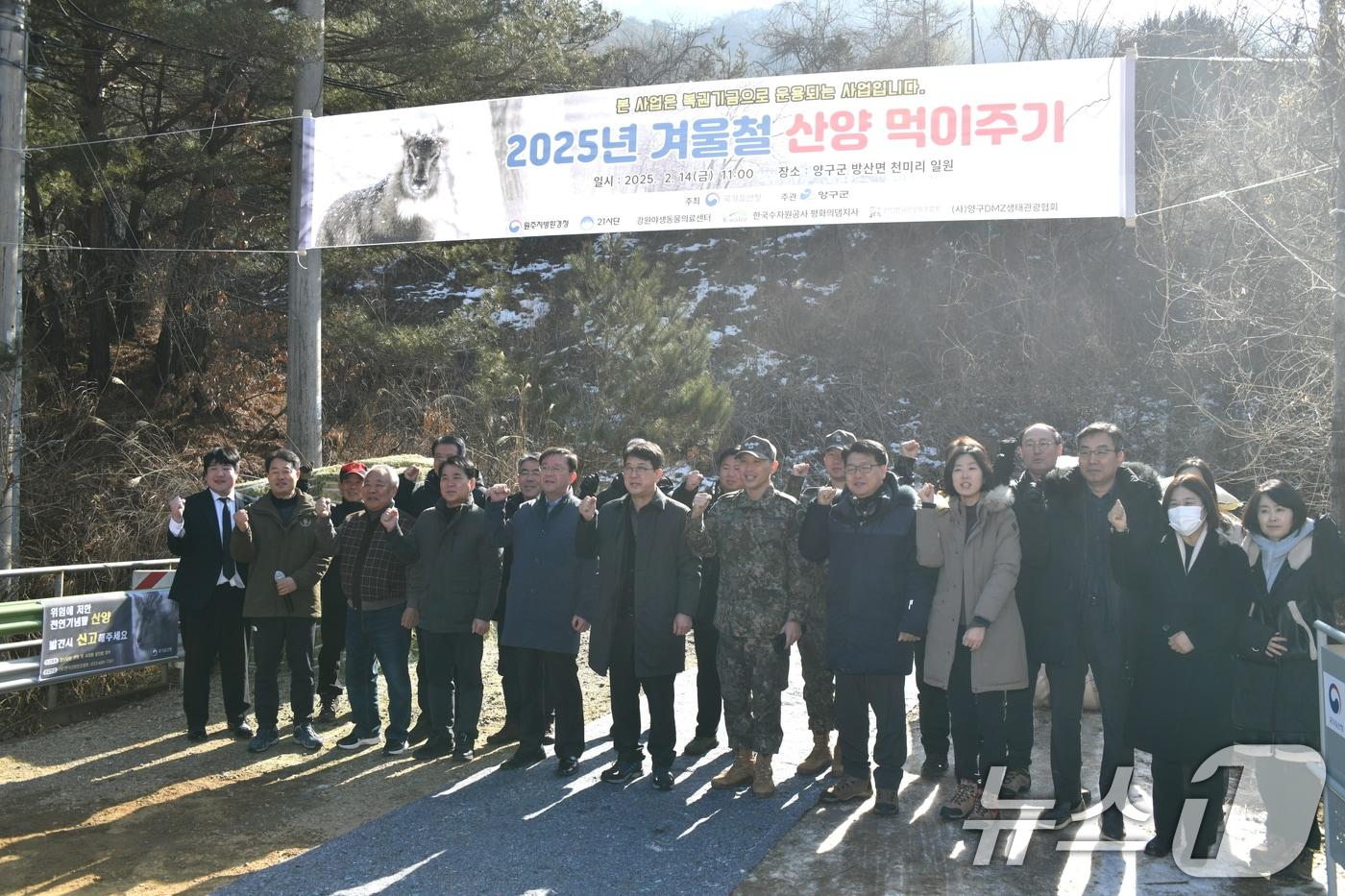 본문 이미지 - 지난해 실시한 천연기념물 산양의 폐사 방지 위한 먹이주기 행사(사진은 기사와 관련없음. 자료사진)/뉴스1 DB