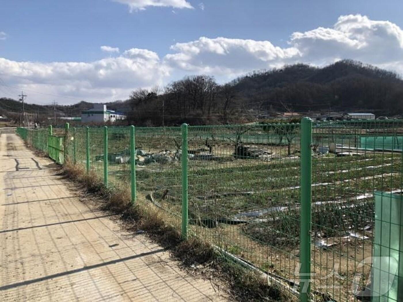 본문 이미지 - 야생 동물 피해 예방 울타리를 친 농지/뉴스1