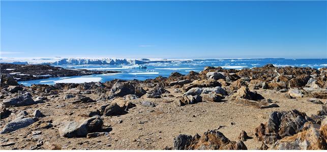 본문 이미지 - 올 1월 장보고기지 주변(극지연구소 제공)