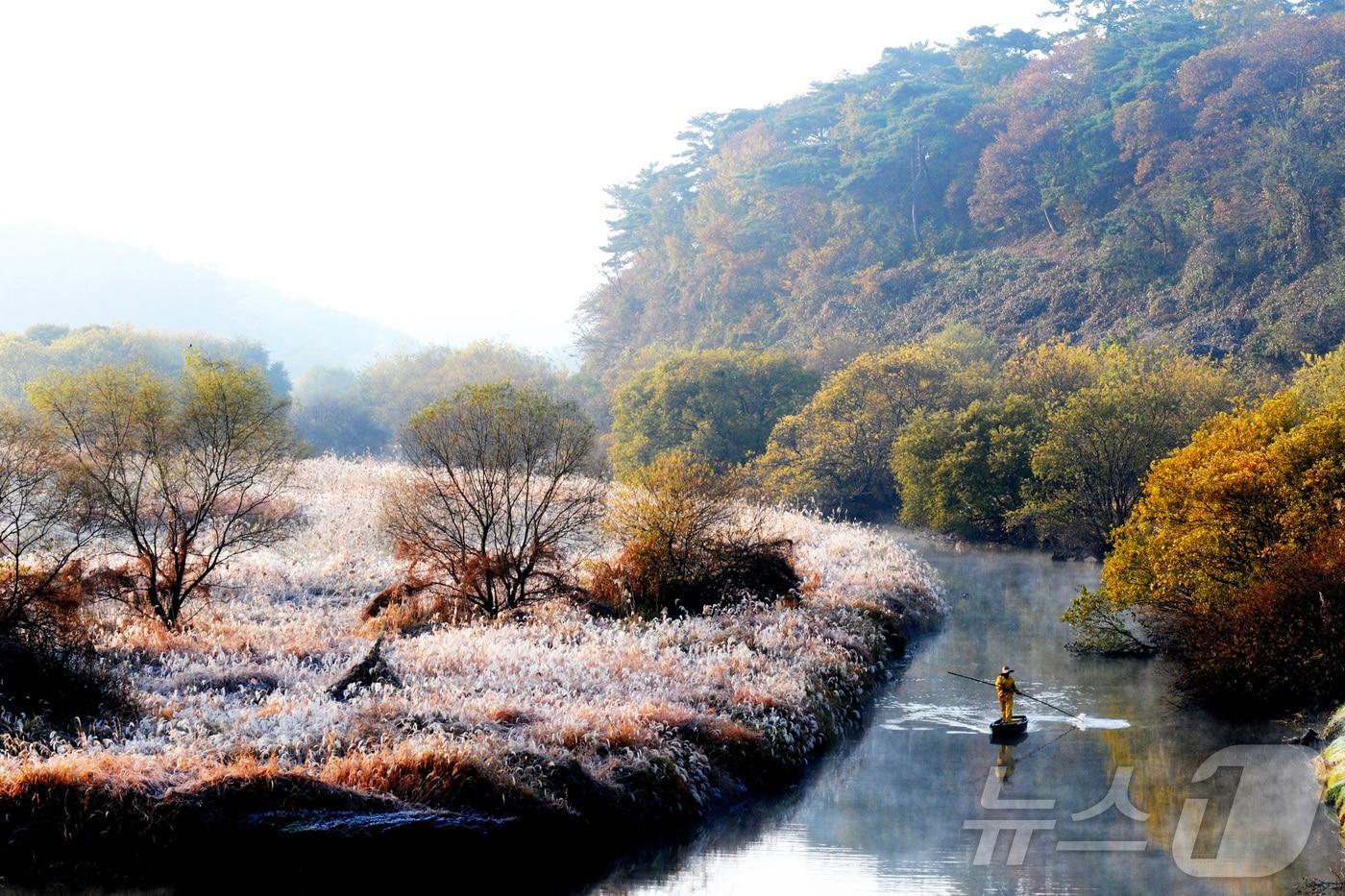 창녕 우포늪&#40;창녕군 제공. 재판매 및 DB금지&#41;.