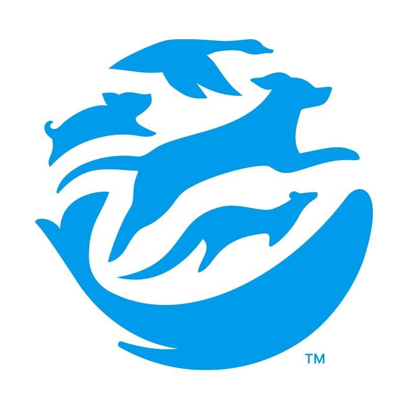 본문 이미지 - 휴메인 월드 포 애니멀즈 ⓒ 뉴스1