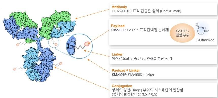 본문 이미지 - 오름테라퓨틱이 개발 중인 단백질분해제항체접합체(TDC) 'ORM-5029' 모식도.(오름테라퓨틱 제공)/뉴스1