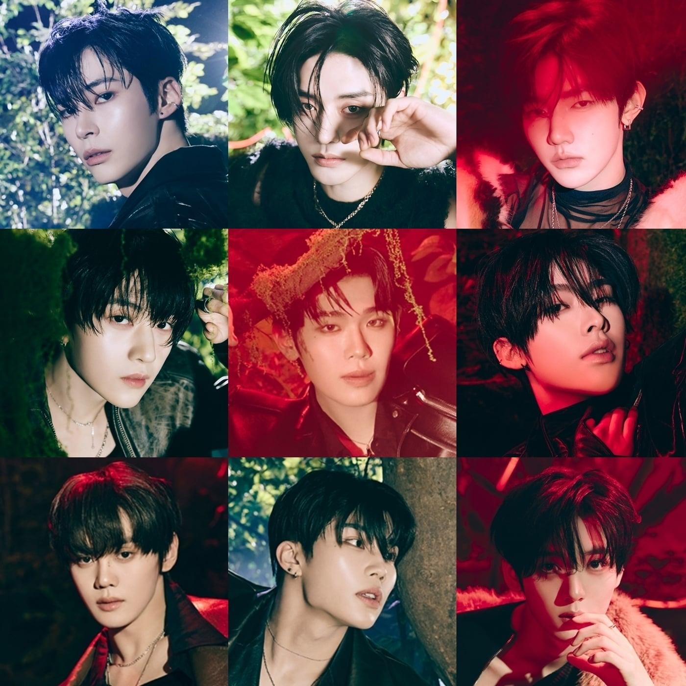 본문 이미지 - 제로베이스원