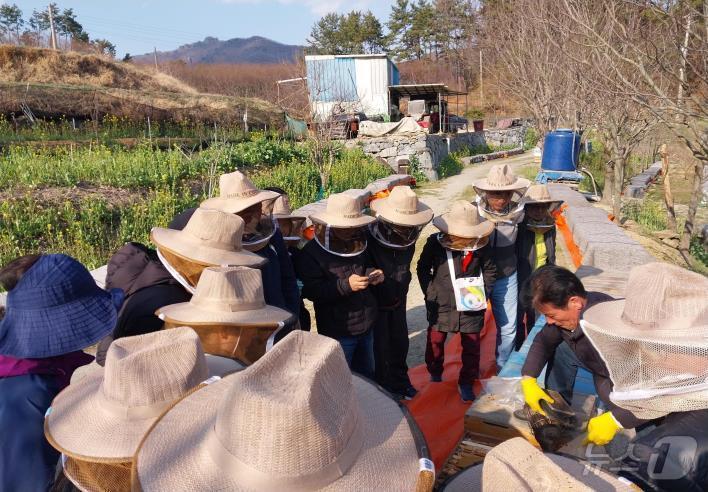 본문 이미지 - 부산시 농업기술센터의 양봉 과정 교육 참가자들이 꿀벌 현장 실습을 하고 있다.(부산시 농업기술센터 제공. 재판매 및 DB 금지)