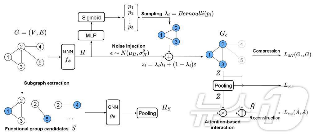 본문 이미지 - 가톨릭대 인공지능학과 이오준 교수팀이 개발한 '서브그래프 조건부 그래프 정보 병목' 개요도. (가톨릭대 제공)