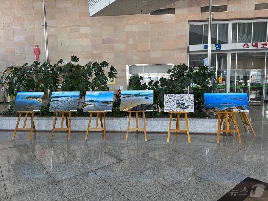 본문 이미지 - 신안갯벌 목포연안여객선 터미널 사진전 &#40;신안군 제공. 재판매 및 DB금지&#41; / 뉴스1 