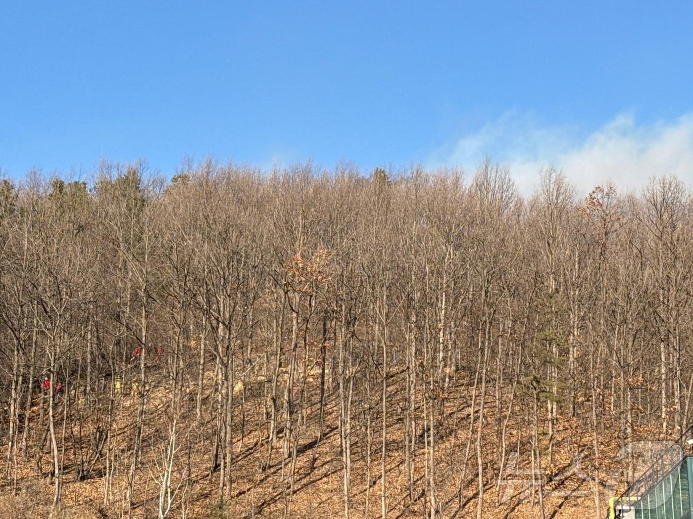 본문 이미지 -  18일 오후 2시 48분쯤 충북 충주시 앙성면 새바지산에서 발생한 산불이 큰불이 잡혔다.(충주시 제공. 재판매 및 DB금지)/뉴스1