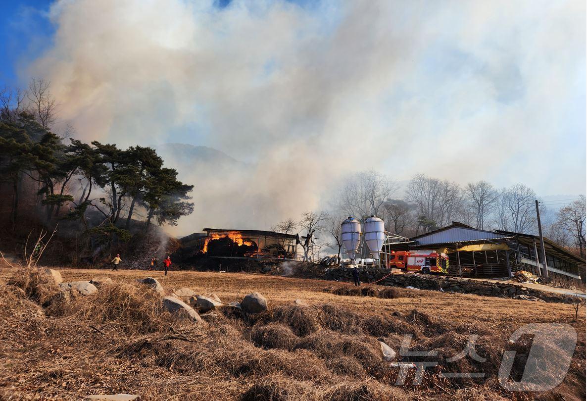본문 이미지 - 18일 오후 1시쯤 경북 성주군 월항면 인촌리 한 우사에서 시작된 불이 인접 야산까지 옮겨붙어 소방당국과 산림청이 화재진압에 나섰다.(경북소방본부 제공. 재판매 및 DB 금지)2025.2.19/뉴스1