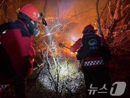 본문 이미지 - 지난 16일 경남 양산시 원동면 산불을 진화하는 산불재난특수진화대 모습. (산림청 제공.재판매 및 DB금지)/뉴스1