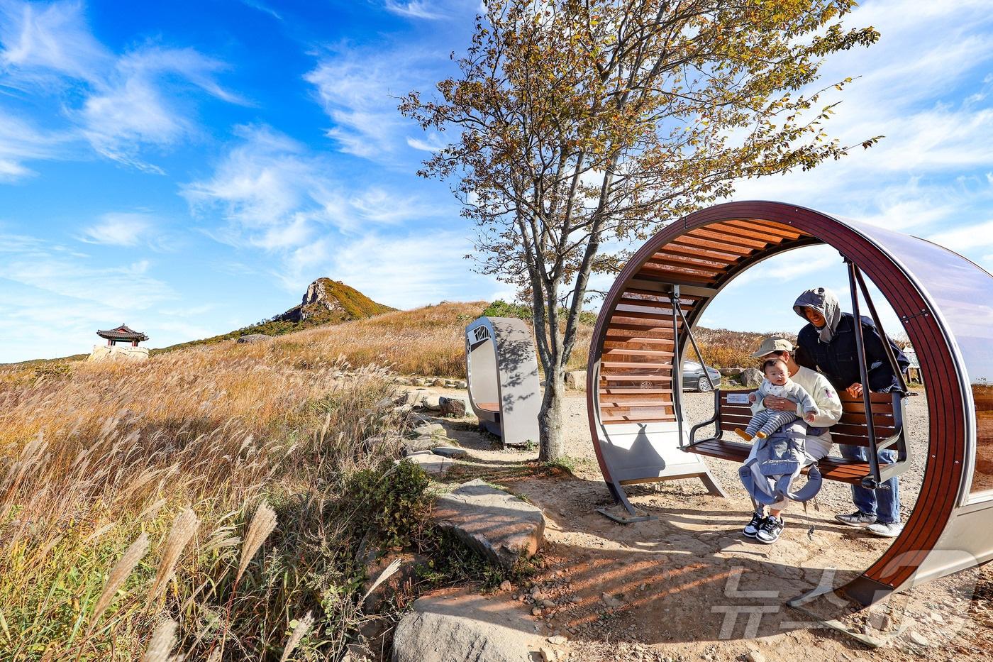 산청 황매산 억새&#40;산청군 제공. 재판매 및 DB금지&#41;.